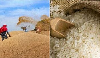 नागरिकों को राहत प्रदान करने के लिए, केंद्र सरकार खुले बाजार में 50 एलएमटी गेहूं और 25 एलएमटी  चावल कराएगी उपलब्ध