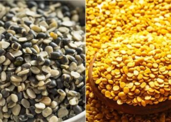 केंद्र सरकार ने अरहर और उड़द की स्टॉक सीमा की अवधि को बढ़ाया 31 दिसंबर तक