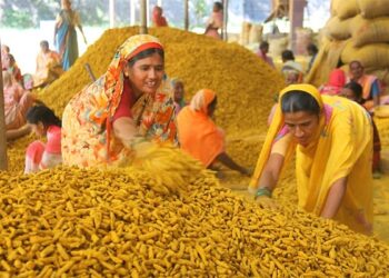 भारत सरकार ने राष्ट्रीय हल्दी बोर्ड के गठन को अधिसूचित किया