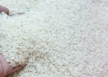 केंद्र ने चावल उद्योग संघों को तत्काल प्रभाव से चावल की खुदरा कीमत में कमी सुनिश्चित करने का दिया निर्देश