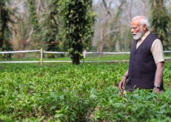प्रधानमंत्री ने असम के चाय बागानों में पर्यटकों से भ्रमण करने का किया आग्रह