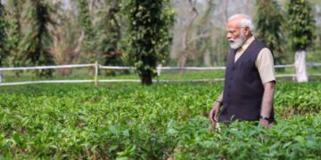 प्रधानमंत्री ने असम के चाय बागानों में पर्यटकों से भ्रमण करने का किया आग्रह