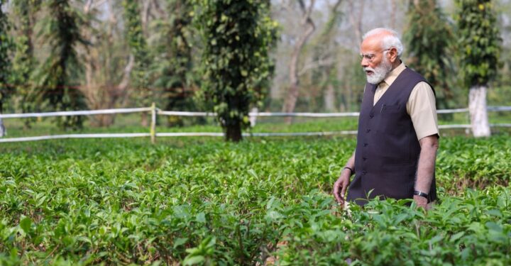 प्रधानमंत्री ने असम के चाय बागानों में पर्यटकों से भ्रमण करने का किया आग्रह