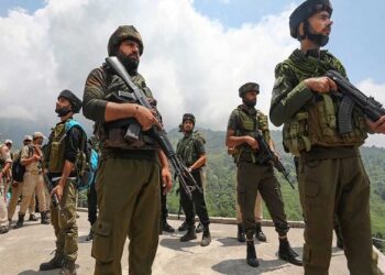 सेना ने पीर पंजाल की दक्षिणी पहाड़ियों में शुरू किया ऑपरेशन ‘सर्प विनाश’