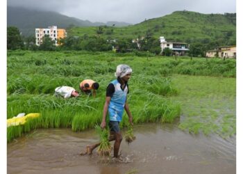 कैबिनेट ने कृषि अवसंरचना निधि योजना के दायरे में विस्तार को दी मंजूरी, कृषि आय में होगी वृद्धि