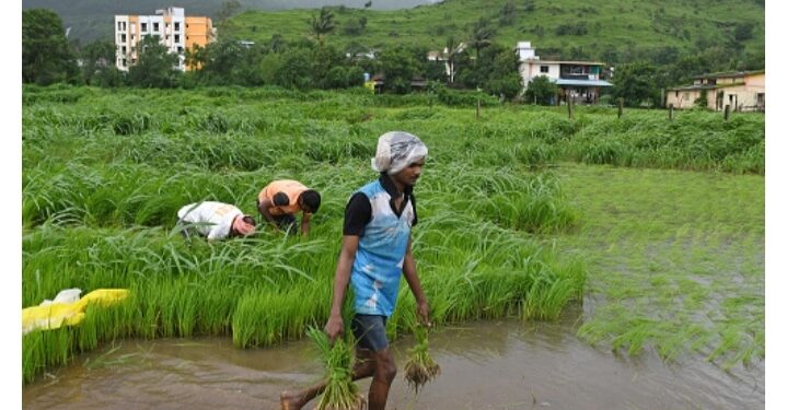 कैबिनेट ने कृषि अवसंरचना निधि योजना के दायरे में विस्तार को दी मंजूरी, कृषि आय में होगी वृद्धि