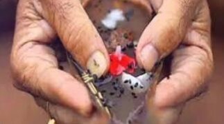 pitra paksha 2024 : पितृ तर्पण की सरल विधि
