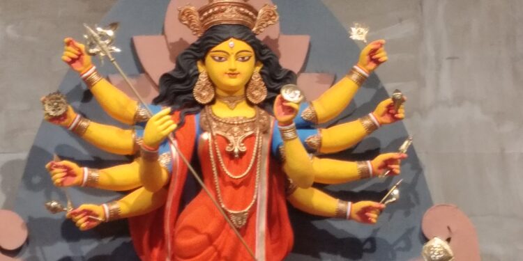 9 औषधियों के पेड़ पौधे जिन्हें नवदुर्गा कहा गया है