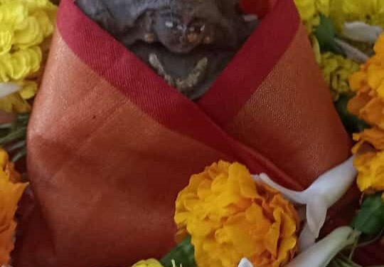 डिवाइन ब्लेसिंग अकादमी में हुई गोबर से निर्मित माँ सरस्वती की पूजा