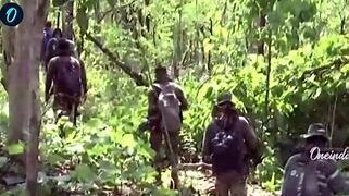 बीजापुर मुठभेड़ : 31 नक्सली ढेर, 2 जवान शहीद, सीएम ने कहा- नहीं जाएगा बलिदान व्यर्थ