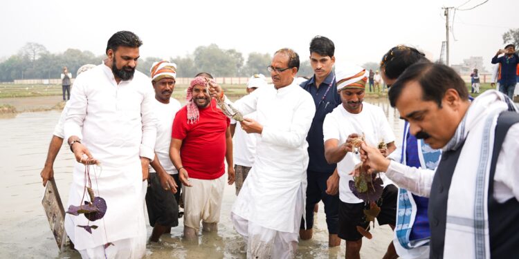 मखाना सुपरफूड है, पौष्टिकता का भंडार है : शिवराज सिंह
