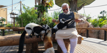 प्रधानमंत्री नरेन्द्र मोदी ने अनूठी वन्यजीव संरक्षण, बचाव और पुनर्वास पहल वनतारा का किया उद्घाटन