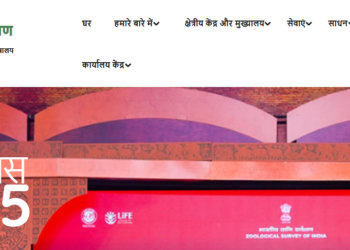 ZSI के वैज्ञानिकों ने भारत में मकड़ी के अंडों पर रहने वाले परजीवी ततैयों की 4 नई प्रजातियों की खोज की