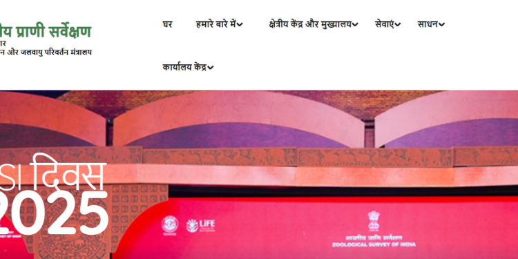 ZSI के वैज्ञानिकों ने भारत में मकड़ी के अंडों पर रहने वाले परजीवी ततैयों की 4 नई प्रजातियों की खोज की