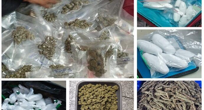 राजस्व खुफिया निदेशालय ने 26 करोड़ रुपये के नशीले पदार्थ किए जब्त, 10 गिरफ्तार