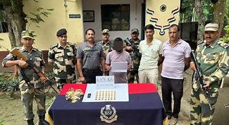 BSF ने बंगाल के नदिया ज‍िले से 35 सोने के बिस्कुट किये जब्त, एक व्यक्ति गिरफ्तार